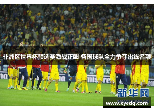 非洲区世界杯预选赛激战正酣 各国球队全力争夺出线名额