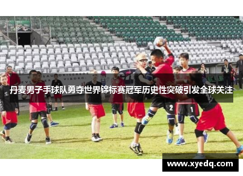 丹麦男子手球队勇夺世界锦标赛冠军历史性突破引发全球关注