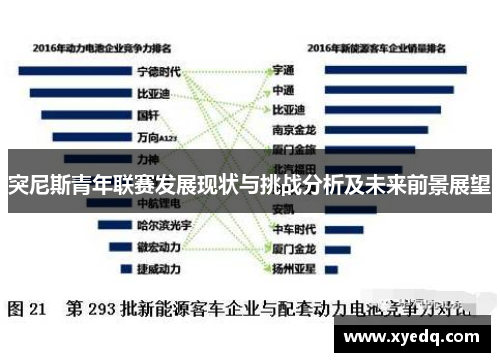 突尼斯青年联赛发展现状与挑战分析及未来前景展望