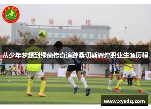 从少年梦想到绿茵传奇追踪桑切斯辉煌职业生涯历程