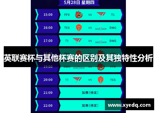 英联赛杯与其他杯赛的区别及其独特性分析